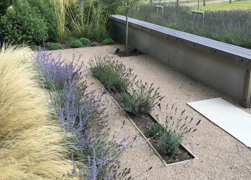 Garden Planting - Flower Installation