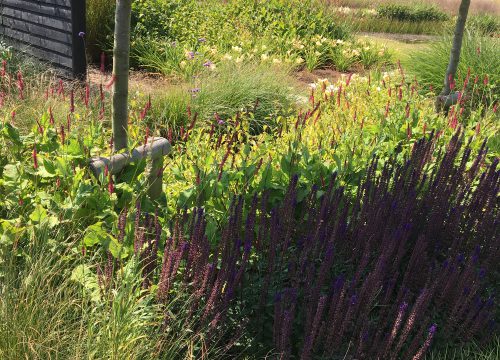 Country Garden Design